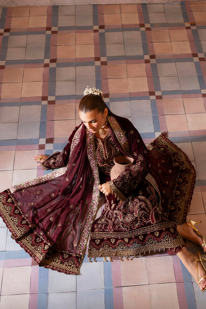 Tara Embroidered Pakistani Dress