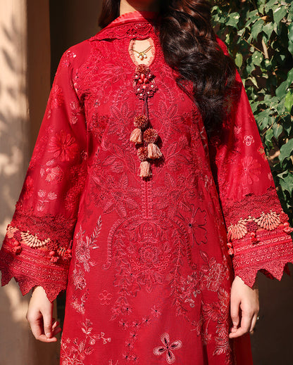 Opaline Organza Women Clothing - Roheenaz - 4