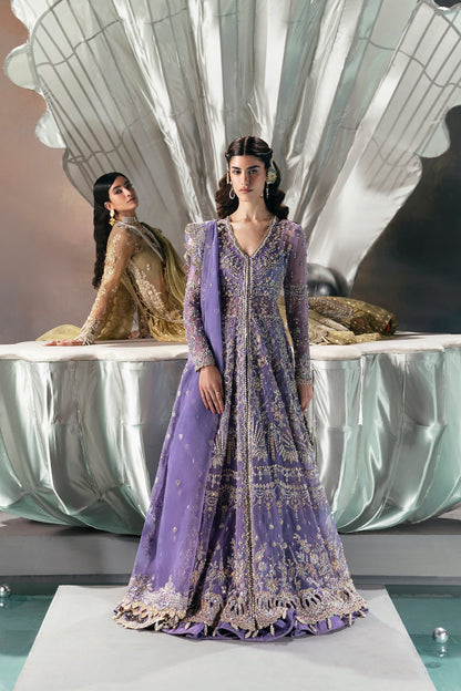 Eloah Organza Pakistani Formal Dresses - Afrozeh - 9