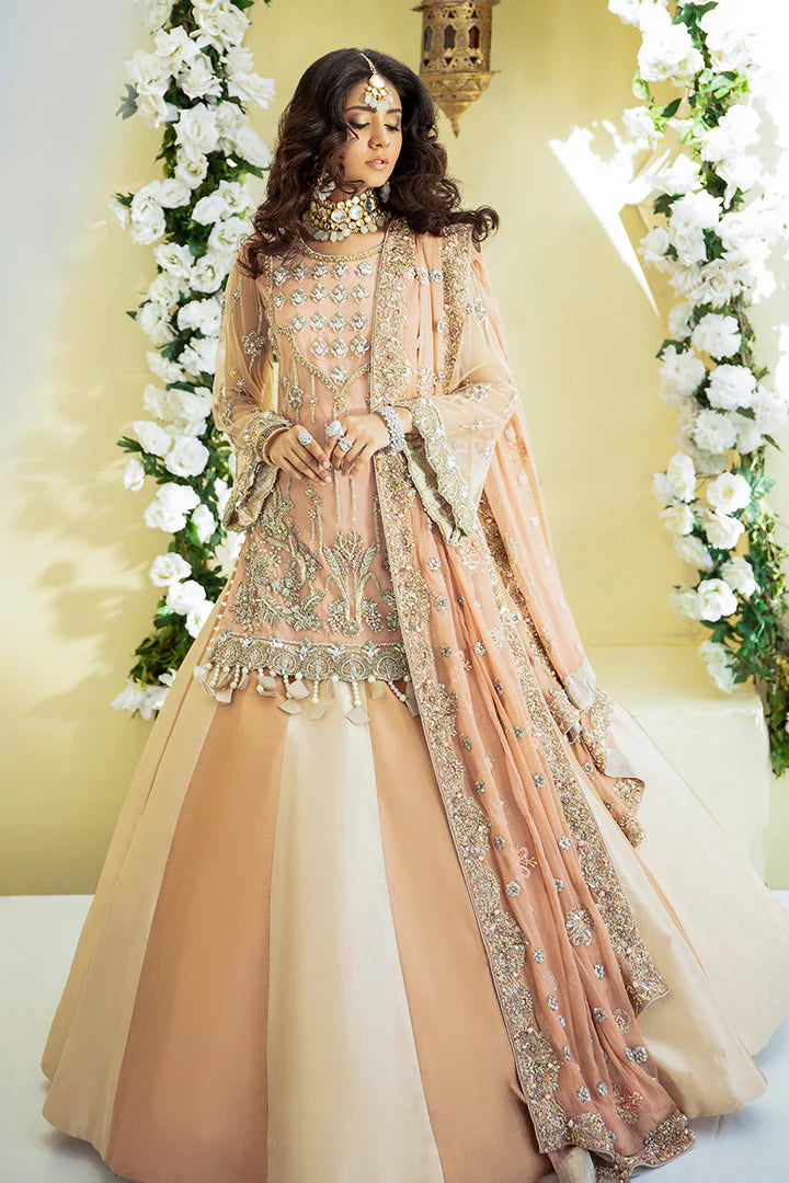 Grace Premium Fabric Pakistani Bridal Dresses