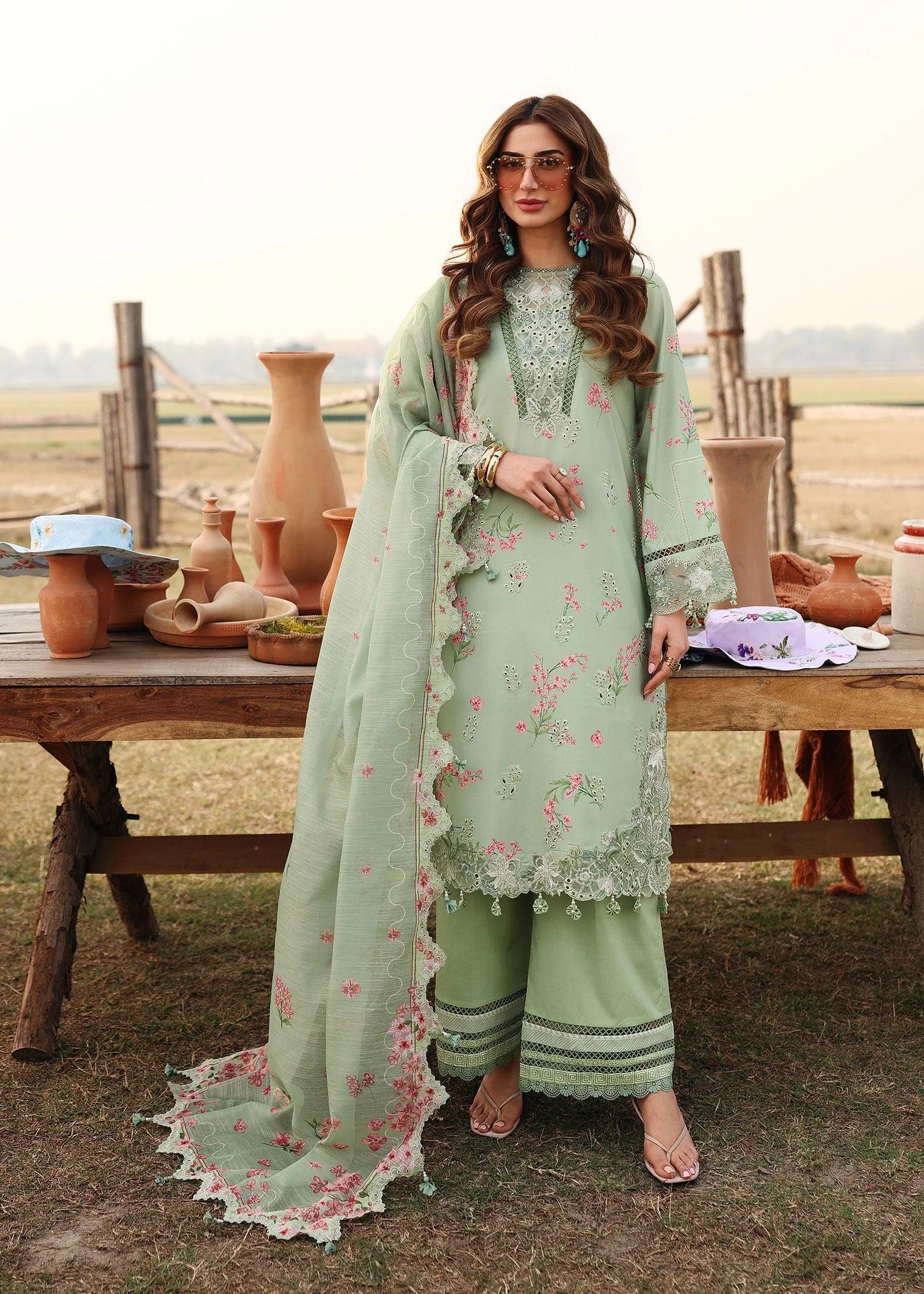 Willow Organza Pakistani Summer Dresses
