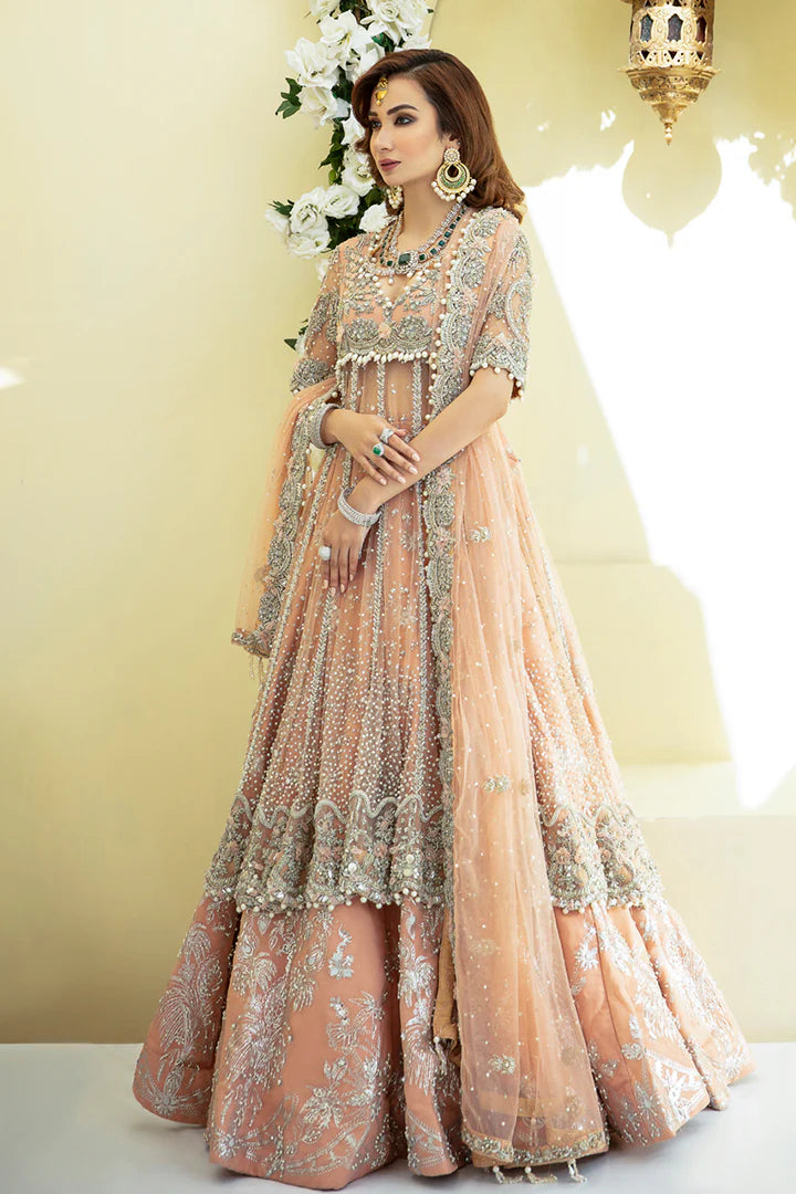 Sophia Premium Fabric Pakistani Bridal Dresses