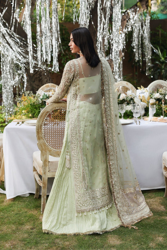 Soulhour Organza Pakistani Formal Dresses - Afrozeh - 2