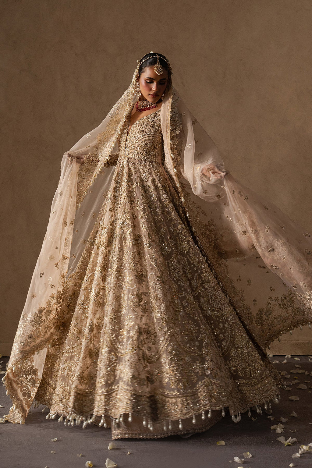 Catarine Organza Pakistani Bridal and Formal Dresses - Afrozeh - 5