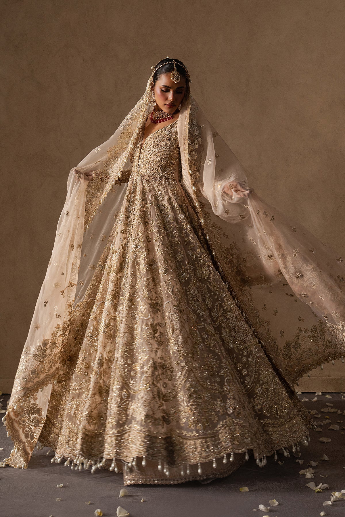 Catarine Organza Pakistani Bridal and Formal Dresses - Afrozeh - 5