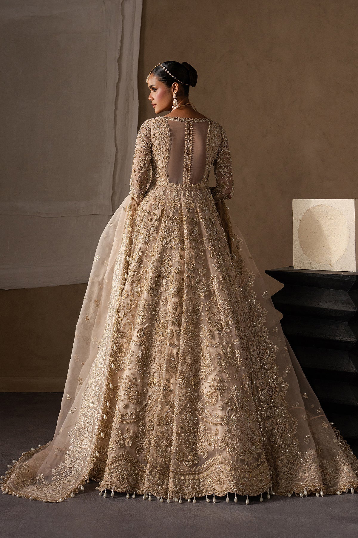 Catarine Organza Pakistani Bridal and Formal Dresses - Afrozeh - 2