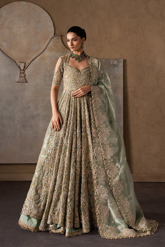 Juliette Raw Silk Pakistani Formal Dresses - Afrozeh - 1