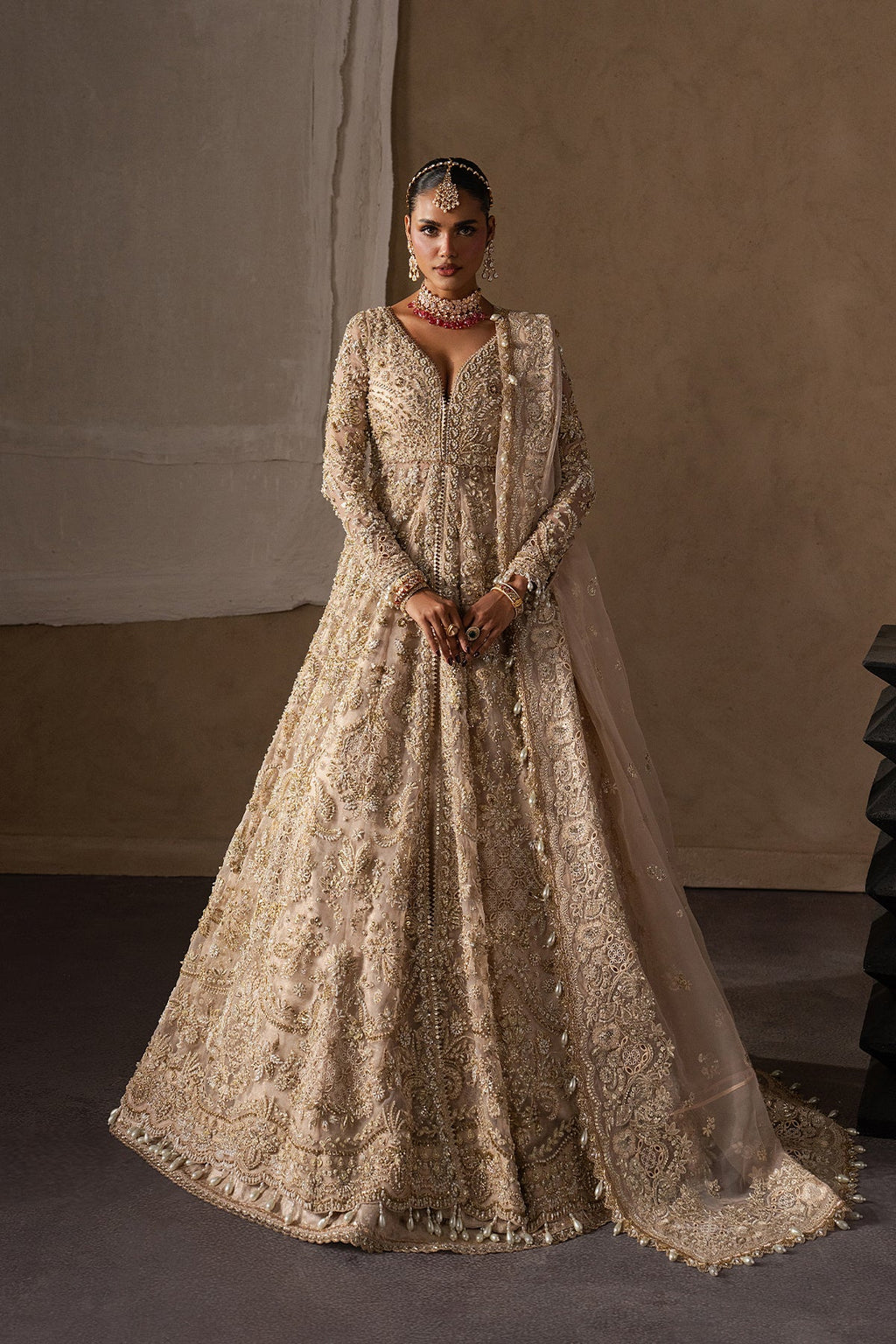 Catarine Organza Pakistani Bridal and Formal Dresses - Afrozeh - 1