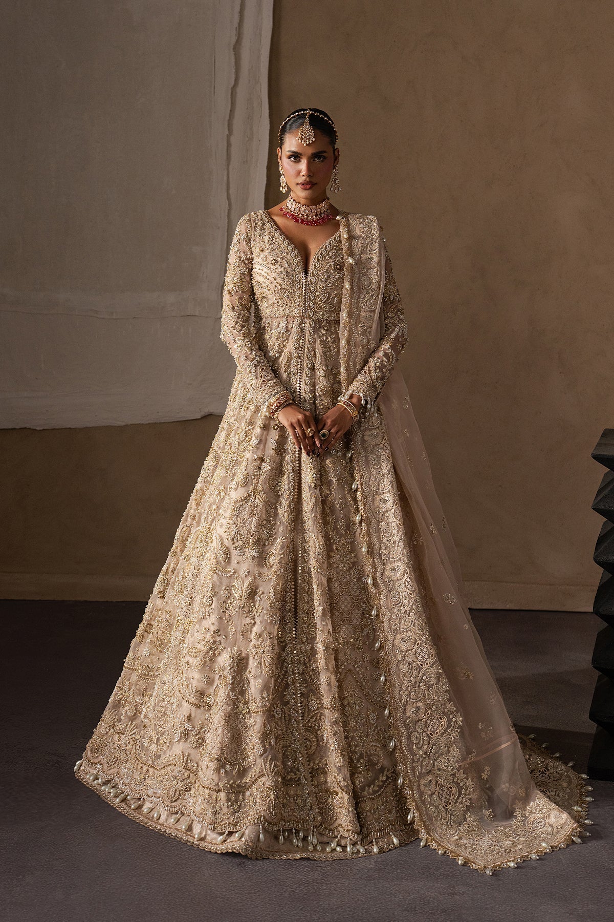 Catarine Organza Pakistani Bridal and Formal Dresses - Afrozeh - 1