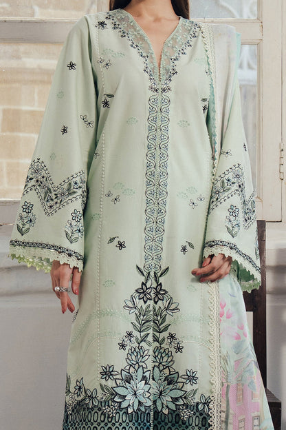 Dewlit Organza Pakistani Summer Dresses - Afrozeh - 3