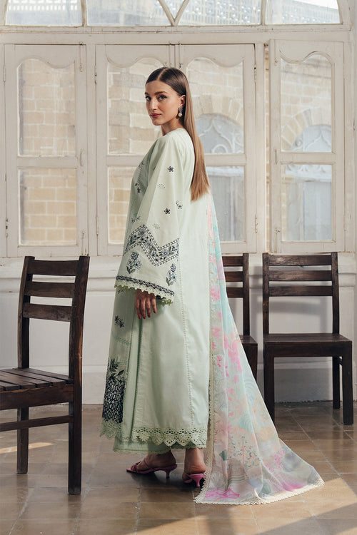 Dewlit Organza Pakistani Summer Dresses - Afrozeh - 2