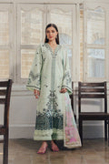 Dewlit Organza Pakistani Summer Dresses - Afrozeh - 1