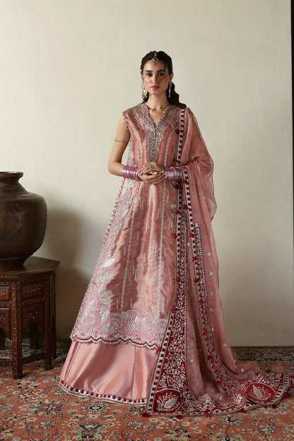 Roshaan Raw Silk Pakistani Formal Dresses - Afrozeh - 1